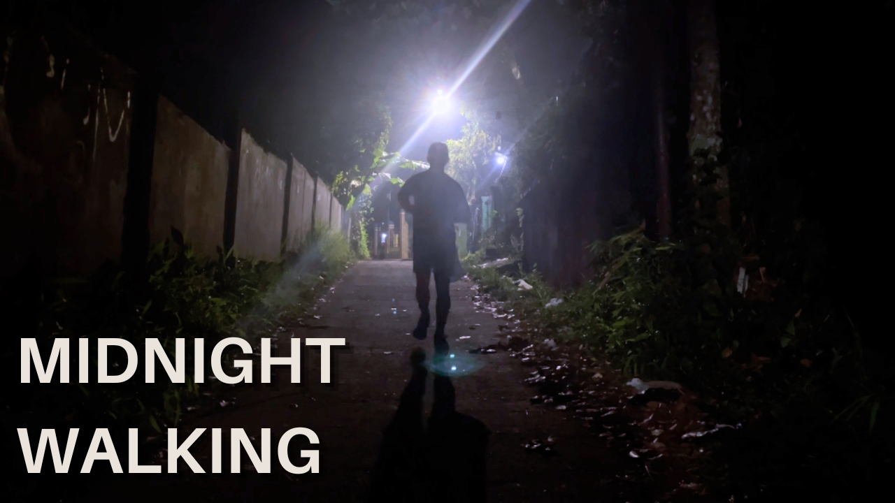 midnight walk